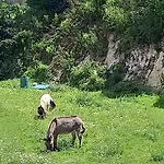 Casa De Balinhas - Geres Nyaraló