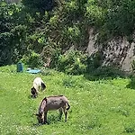 Casa De Balinhas - Geres Nyaraló *
