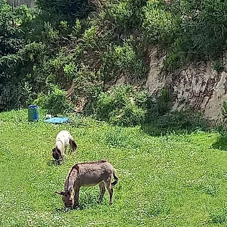 Nyaraló Casa De Balinhas - Geres *