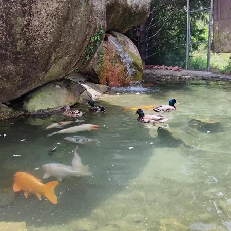 Casa De Balinhas - Geres Cova