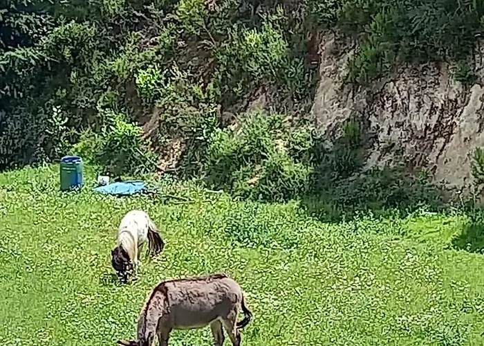 Nyaraló Casa De Balinhas - Geres *