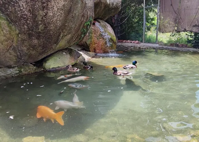 Casa De Balinhas - Geres Ventosa