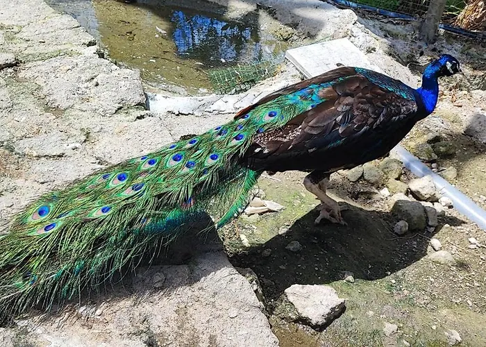 Casa De Balinhas - Geres * Ventosa